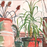 watercolour.plantlife.600w