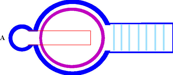 Plan of down draught kiln cutaway section 1