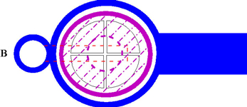 Plan view of kiln cutaway section 2