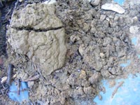 Gravel and sand sediment removed from the clay